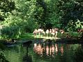 Zoo Cottbus 091
